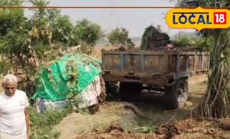 Natural Pesticide Farming in Dausa | Organic Farming Success