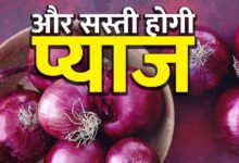 Onion will be cheaper after holi as new crop arrival will down onion prices consumers happy but farmers sad azadpur mandi delhi - दिल्‍ली की आजादपुर मंडी में बेहद सस्‍ता मिल रहा प्‍याज? आढ़ती बोले, होली के बाद कीमतों पर होगा ये असर