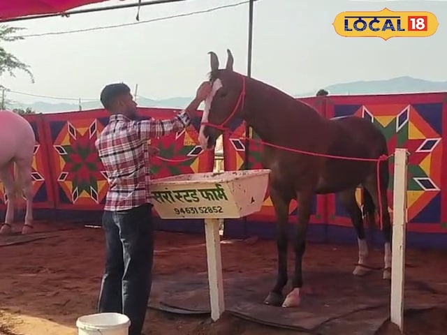 वाह रे राजस्थान...‘नगीना’ का छाया जलवा, करोड़ों की घोड़ी ने रेस में रचा इतिहास