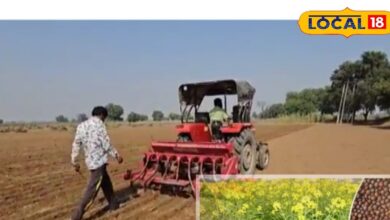 Raidha Mustard Sowing Method & Profit in Nagaur | Rabi Crop