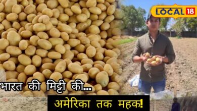 Rajasthan Farmer’s Potato Chips Reaching America