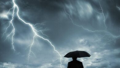 Rajasthan Weather: 3 नवंबर तक राजस्थान में बारिश का कहर! 28 जिलों में वज्रपात-सर्दी का अलर्ट, जानें अपने जिले का हाल