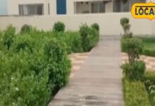 Rooftop Garden | Home Gardening Tips | Small Space Garden | Indoor Plants Care | Urban Gardening | Balcony Garden Ideas | Terrace Gardening