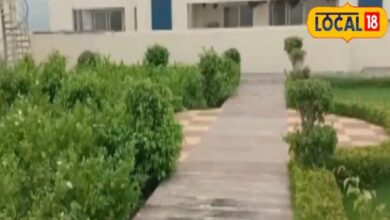 Rooftop Garden | Home Gardening Tips | Small Space Garden | Indoor Plants Care | Urban Gardening | Balcony Garden Ideas | Terrace Gardening