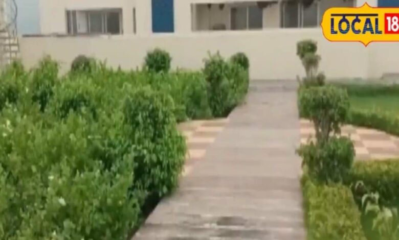 Rooftop Garden | Home Gardening Tips | Small Space Garden | Indoor Plants Care | Urban Gardening | Balcony Garden Ideas | Terrace Gardening