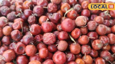 Seasonal Indian Fruit | Health Benefits of Native Fruit | Immunity Booster Fruit