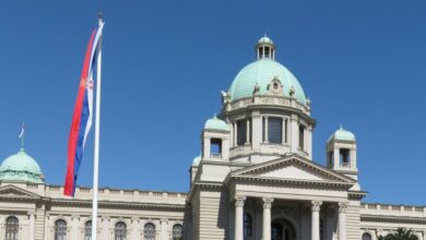 Shots fired outside Serbian parliament video accused one man detained president fear Aleksandar Vucic terrorist attack