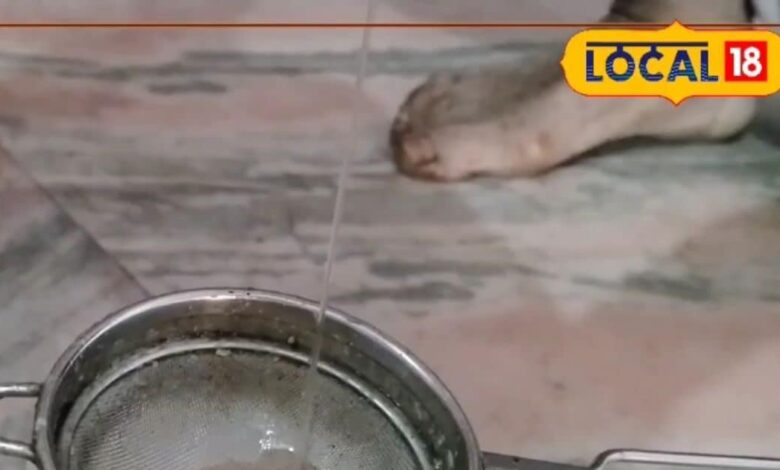 Sikrai Farmer Bachusingh Meena Creates Healthy Drink from Karonda