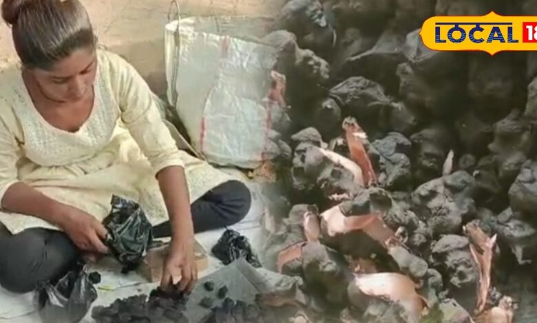 Singhara Health Benefits: विटामिन ए का भंडार है ये काला फल, शरीर में भरती फौलाद सी ताकत, कई बीमारियों के लिए काल - Madhya Pradesh News