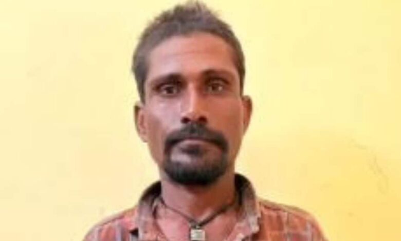 Suspicious Person Caught Near India-Pak Border in Jaisalmer