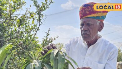 Thar Desert Green Revolution with Grafting Technique