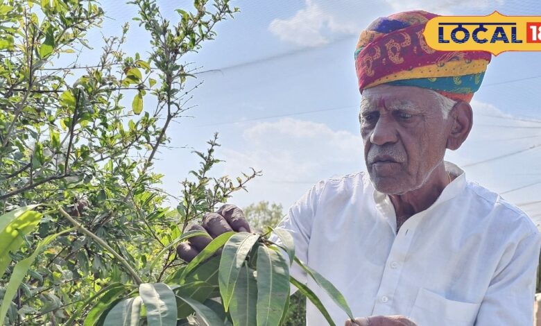 Thar Desert Green Revolution with Grafting Technique