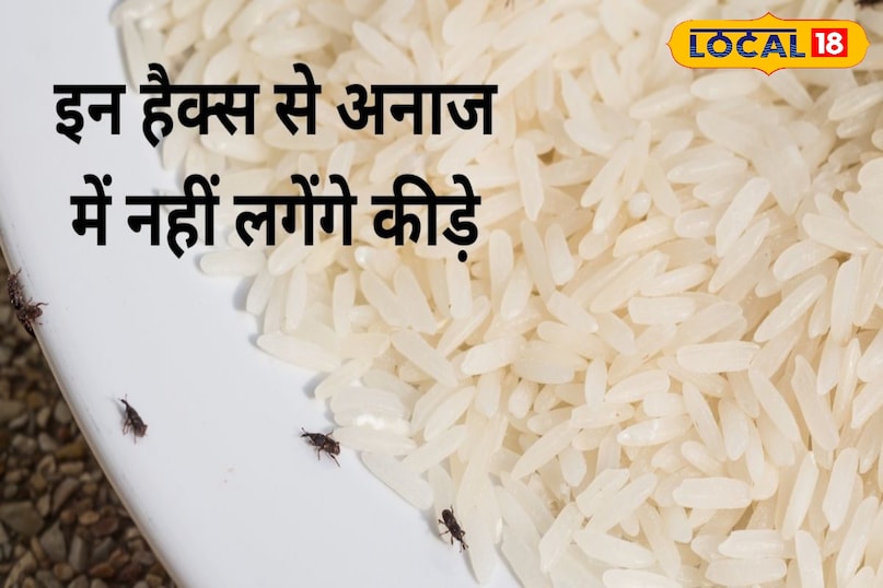 महज 1 मिनट में छू मंत्र हो जाएंगे कीड़े महज 1 मिनट में छू मंत्र हो जाएंगे कीड़े