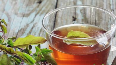 Tulsi eating way: तुलसी का सही सेवन कैसे करें, जानें फायदे, नुकसान और आयुर्वेदिक तरीका