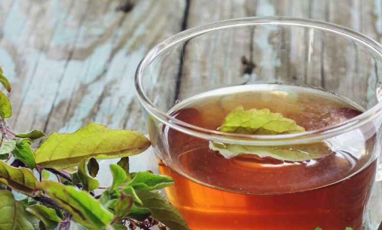 Tulsi eating way: तुलसी का सही सेवन कैसे करें, जानें फायदे, नुकसान और आयुर्वेदिक तरीका