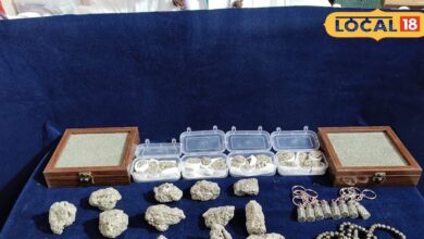 Wealth Stone | Money Attracting Stone | Prosperity Stone