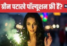 What Are Green Crackers Are They Really Pollution Free | ग्रीन पटाखे क्या हैं और क्या ये सच में प्रदूषण नहीं फैलाते