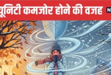 Why Immunity Drops During Weather Change | बदलते मौसम में इम्यूनिटी क्यों होती है कमजोर