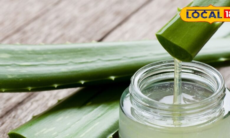 Winter Skin Care: सर्दियों में चमक उठेगा आपका चेहरा, बस अपनाएं ये 5 घरेलू उपाय और पाएं मुलायम त्वचा - Uttar Pradesh News