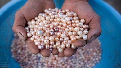 You can start small business just in 25 thousand and earn 30 lakh rupees per month check details varpat