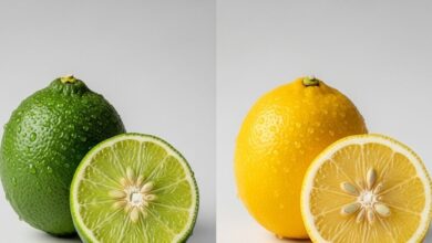 lime lemon difference: Lime और Lemon में अंतर क्या है जानें रंग, स्वाद और पोषण के फर्क.