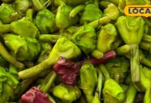 singhade-ke-fayde-in-5-logon-ke-liye-varadaan-jaane-health-benefits-and-recipes - Uttarakhand News - News18 हिंदी