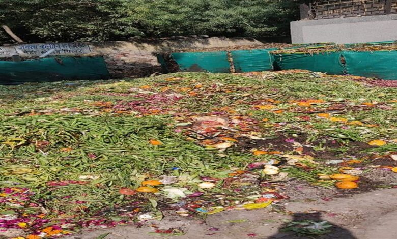 start a waste business just in 10 thousand and earn 1 lakh per month know how varpat