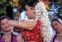 ऋषि कपूर-माधुरी दीक्षित के हमशक्ल ने रीक्रिएट किया 'प्रेम ग्रंथ' का गाना, केमिस्ट्री देख फटी रह जाएं