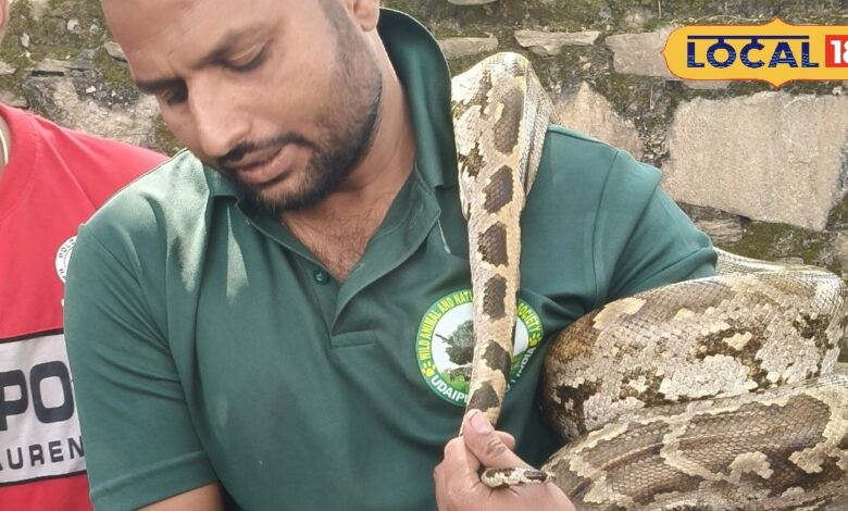 कई दिन से खड़ी थी कार, जब खोला बोनट तो सामने था ऐसा जानवर, देखकर दंग रह गए लोग