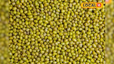 कभी सोने के भाव बिकने वाली मूंग... अब आधे दाम में! आखिर क्या हुआ इस बार की फसल को?