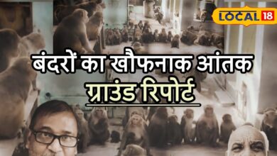 करौली में बंदरों का खूंखार कहर, हर इलाकें में खौफ, इंसानों का रहना हुआ दुश्वार...