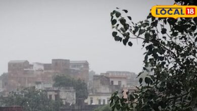 करौली में बादलों की दस्तक... मावठ की पहली बारिश से बढ़ी गुलाबी ठंडक, बारिश ने किसानों के चेहरे पर मुस्कान बिखेरी