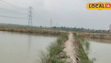 कहानी एक आत्मनिर्भर युवा की, नौकरी छोड़ शुरू कर दिया कारोबार, इस जगह को बना दिया बिजनेस हब
