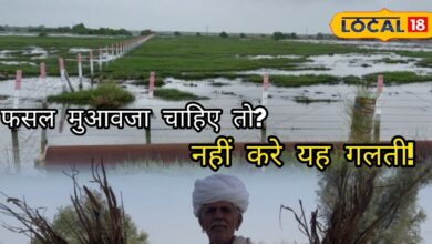 किसान ध्यान दें! आपकी फसलें भी बारिश में डूबी है? तो जल्दी करें ये काम, वरना नहीं मिलेगा मुआवजा