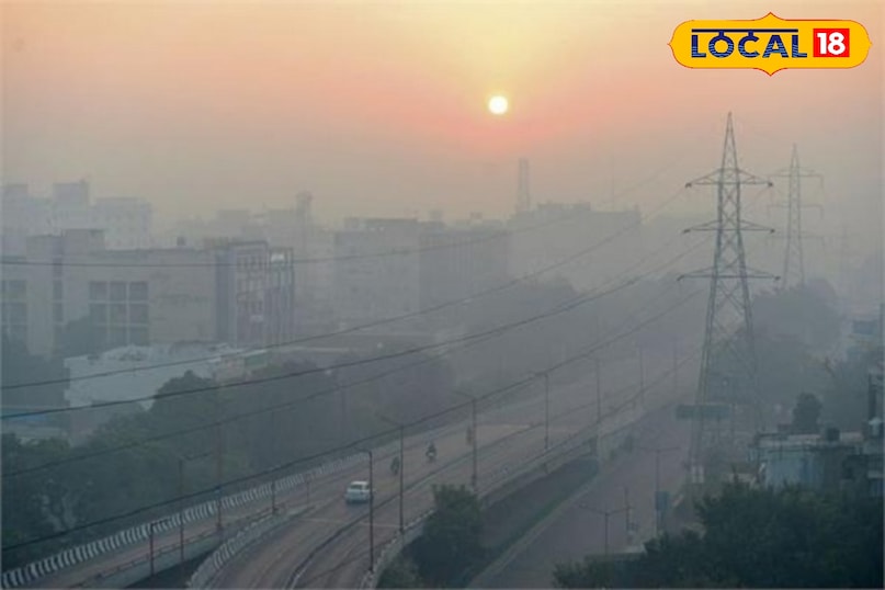 बढ़ते प्रदूषण और खराब होते वायु गुणवत्ता सूचकांक (AQI) ने शहरों की हवा को साँस लेने लायक नहीं छोड़ा है। ऐसे में घर के अंदर की हवा को शुद्ध रखना भी एक बड़ी चुनौती बन गई है। परंतु प्रकृति ने हमें कुछ ऐसे पौधे दिए हैं जो न सिर्फ घर की सुंदरता बढ़ाते हैं, बल्कि 24 घंटे शुद्ध ऑक्सीजन देकर हवा से जहरीले तत्वों को भी सोखते हैं।