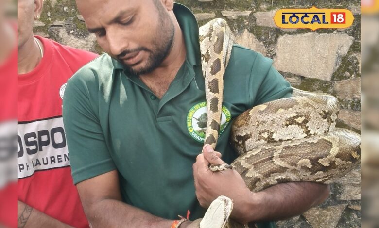 छूट गए पसीने...रेस्क्यू टीम बनी हीरो, कार के इंजन से 10 फीट लंबा अजगर को कड़ी मशक्कत के बाद निकाला बाहर