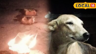 छोटी दिवाली पर कुत्तों की पूजा की अनोखी परंपरा