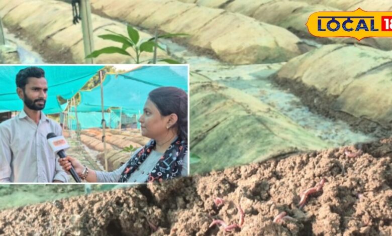 जालोर: बलवंत लखाणी की वर्मी कम्पोस्ट से जैविक खेती में वृद्धि
