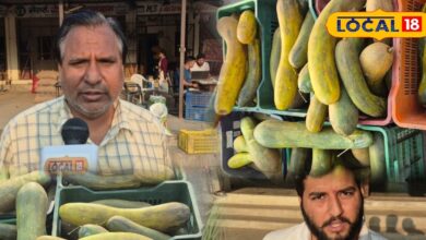 जालौर मंडी में बालम ककड़ी का जलवा! सीमित सीजन, मीठा स्वाद और औषधीय गुणों से भरपूर
