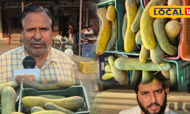 जालौर मंडी में बालम ककड़ी का जलवा! सीमित सीजन, मीठा स्वाद और औषधीय गुणों से भरपूर