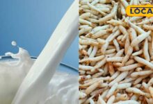 ठंड में फुर्ती और ताकत का अचूक नुस्खा, दूध में मिलाएं एक चम्मच सफेद मूसली...फिर देखें कमाल