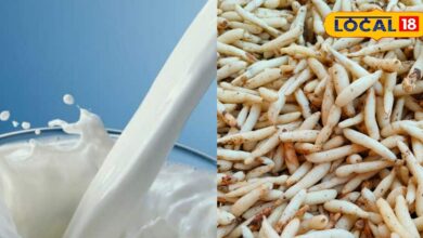 ठंड में फुर्ती और ताकत का अचूक नुस्खा, दूध में मिलाएं एक चम्मच सफेद मूसली...फिर देखें कमाल