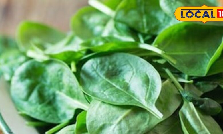 ड्राई स्किन और झड़ते बालों से हैं परेशान? इस हरी पत्तेदार सब्जी में छुपा है ब्यूटी सीक्रेट, एक्सपर्ट से जानें - Uttarakhand News