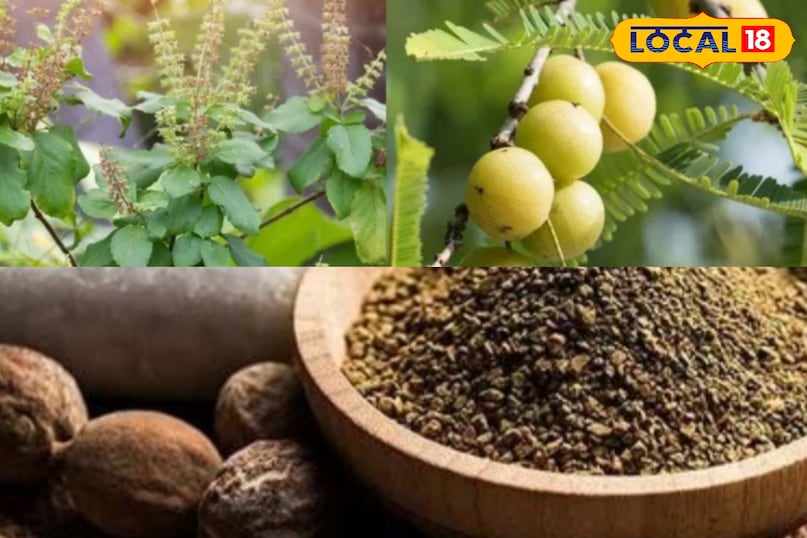 दादी-नानी के 7 देसी नुस्खे: जो बचाएंगे आंखों को मोबाइल की रोशनी से नुकसान से...