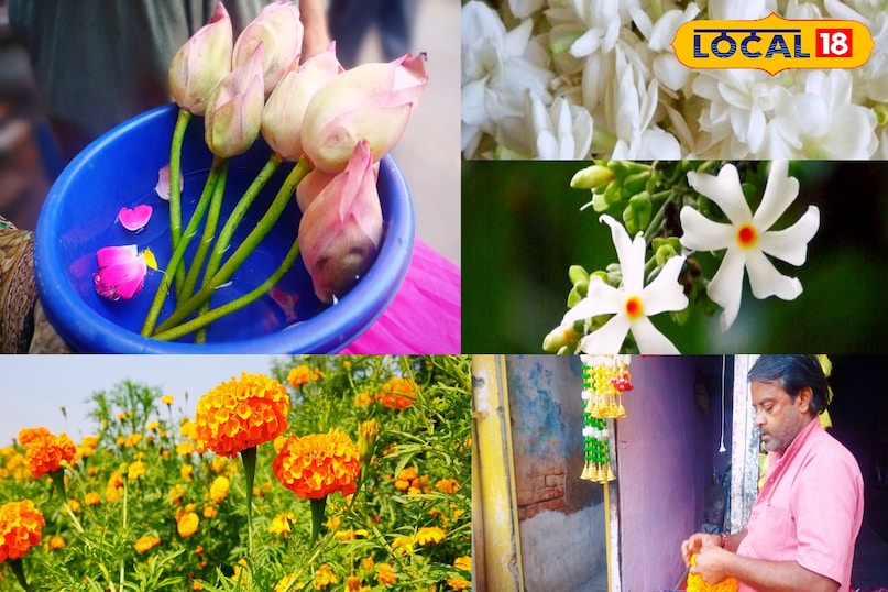 news 18 