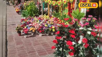 दीवाली पर बदले घर को...आर्टिफिशियल फूलों से दें नया लुक, नोट करें ये लोकेशन – News18 हिंदी