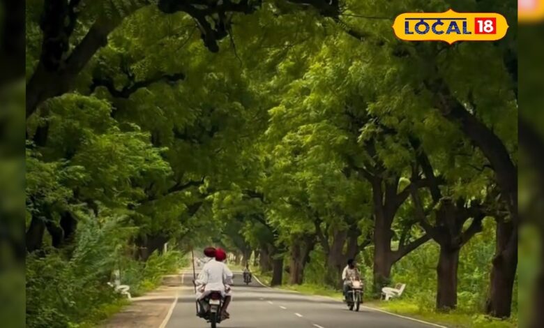 दुनिया का सबसे अनोखा कॉरिडोर, 112 साल पहले अंग्रेजों ने बनाया था, नीम बन गए 'हकीम'