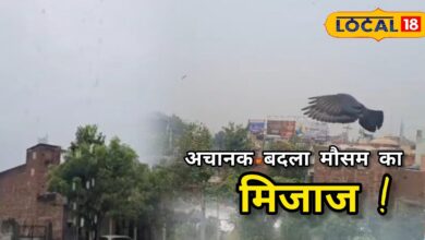 पाली में मौसम ने ली करवट! देसूरी-सादड़ी में बारिश से बढ़ी ठंडक, रबी की फसल को राहत...किसानों के खिले चेहरे