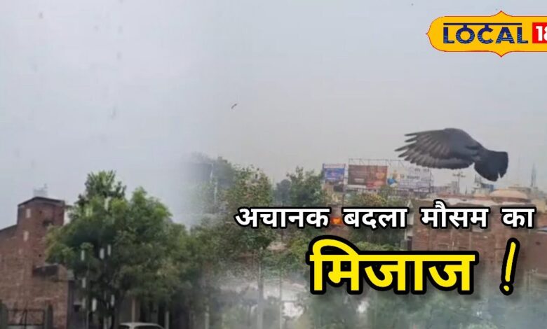पाली में मौसम ने ली करवट! देसूरी-सादड़ी में बारिश से बढ़ी ठंडक, रबी की फसल को राहत...किसानों के खिले चेहरे