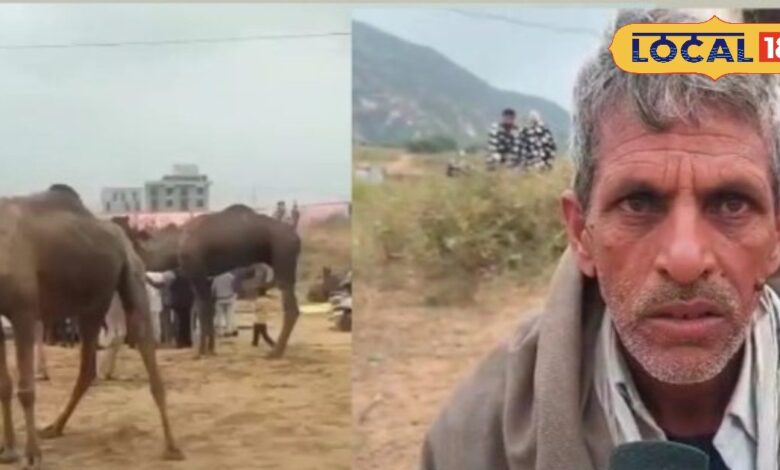 पुष्कर मेला बना ठंड और बारिश की मार का अखाड़ा! पशुपालकों की बढ़ी मुश्किलें, तंबू उड़े, नेटवर्क ने तोड़ी कमर